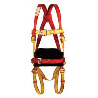 Fall Protection Pioneer DS 24 Full Body Harness