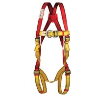 Fall Protection Pioneer DS full body harness