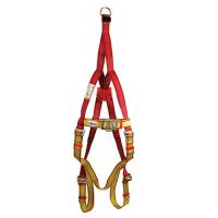 Fall Protection and Rescue Harness