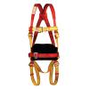 Fall Protection Pioneer DS 24 Full Body Harness