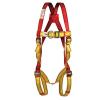 Fall Protection Pioneer DS full body harness