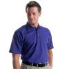 Short Sleeve Polo - Royal