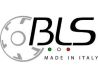 BLSGROUP