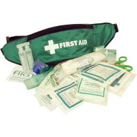 Bumbag First Aid Kit