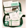 First Aid Handy Travel Kit in Pouch